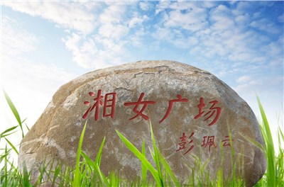 大咖云集 “湘女廣場”美學(xué)建設(shè)研討會