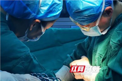 新春走基層丨120個(gè)“兔寶寶”組團(tuán)來(lái)拜年 新生命開(kāi)篇新年喜悅